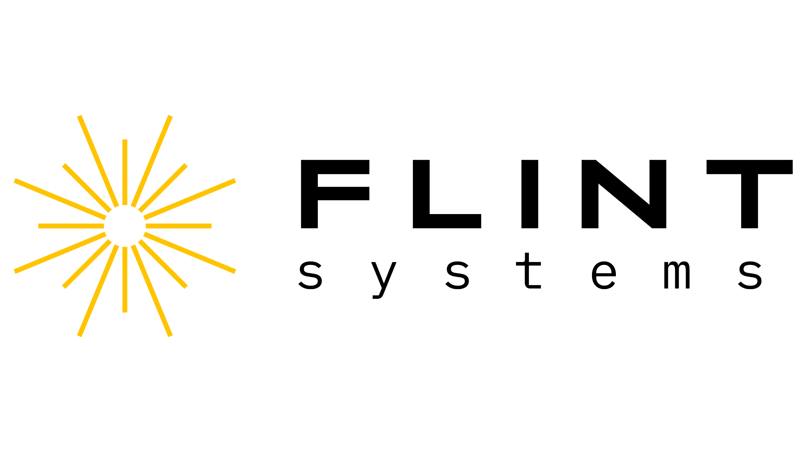 Flint Systems